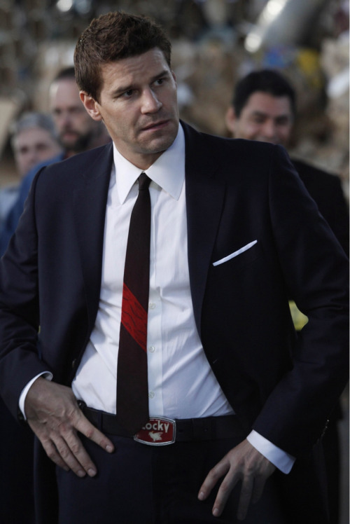 davidboreanazagenteseeleybooth