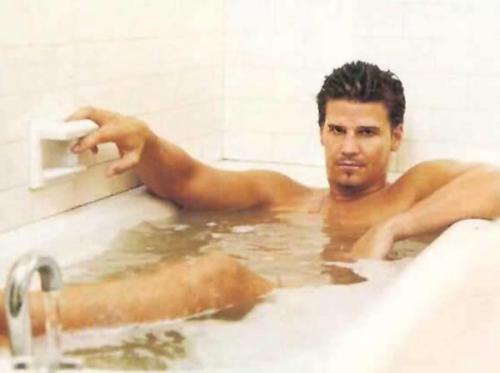 davidboreanazagenteseeleybooth