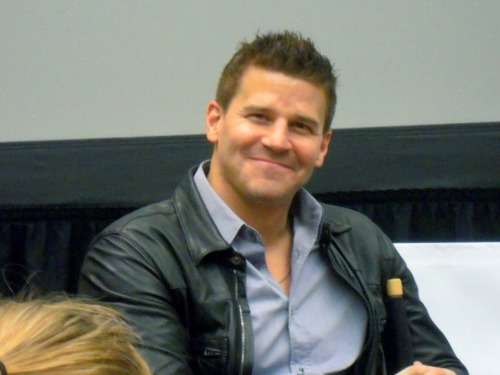 davidboreanazagenteseeleybooth