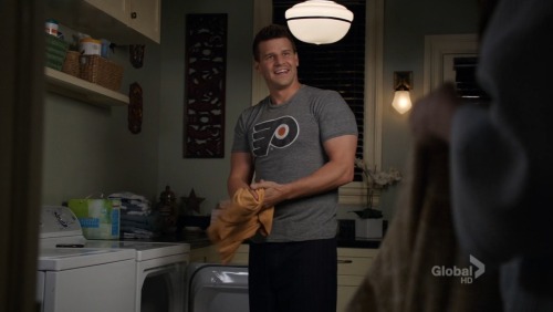 davidboreanazagenteseeleybooth