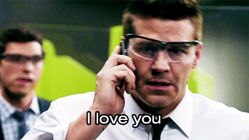 davidboreanazagenteseeleybooth