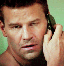 davidboreanazagenteseeleybooth