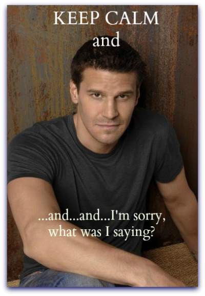 davidboreanazagenteseeleybooth