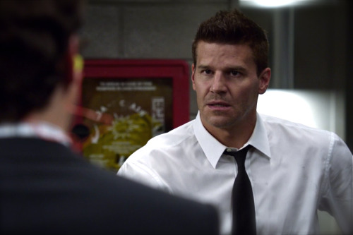 davidboreanazagenteseeleybooth