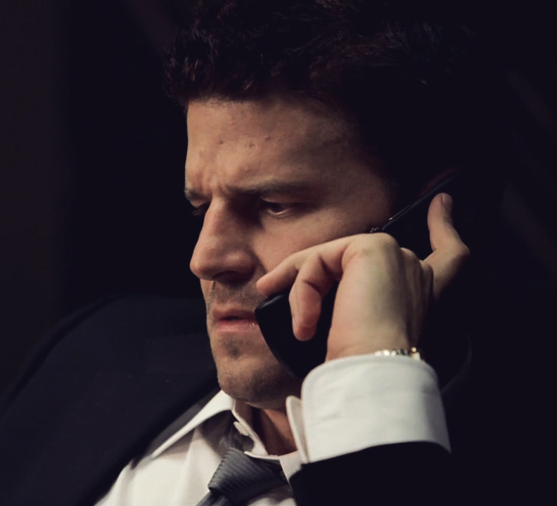 davidboreanazagenteseeleybooth