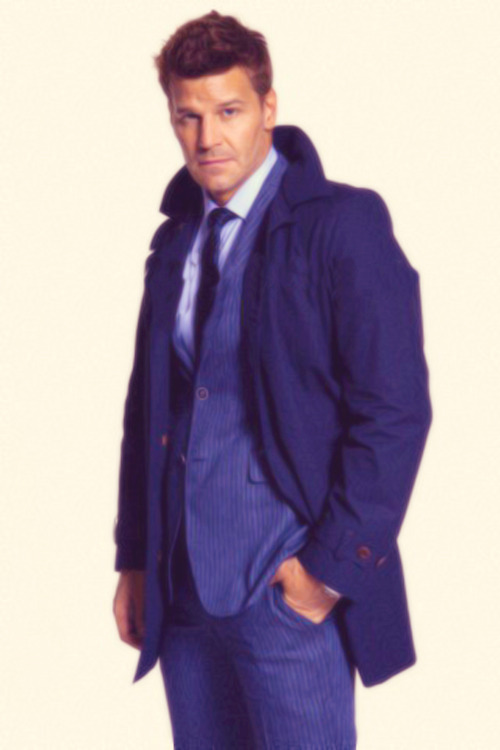 davidboreanazagenteseeleybooth