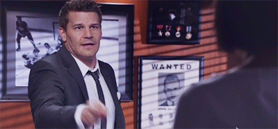 davidboreanazagenteseeleybooth