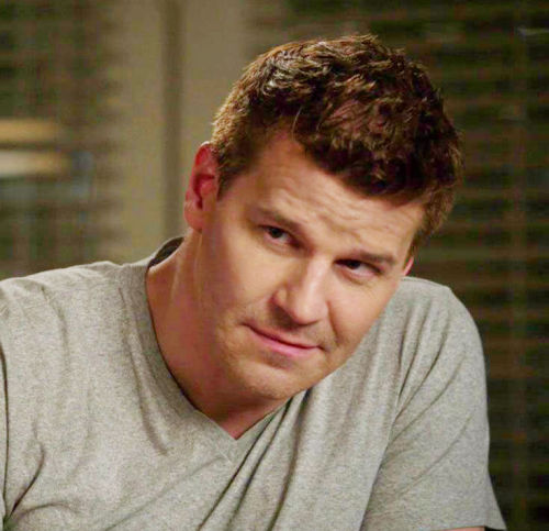 davidboreanazagenteseeleybooth