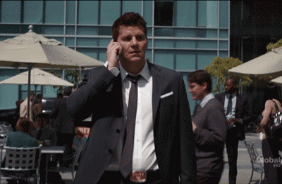 davidboreanazagenteseeleybooth