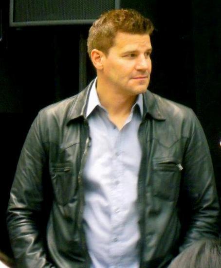davidboreanazagenteseeleybooth