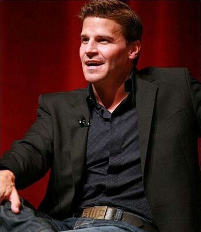 davidboreanazagenteseeleybooth