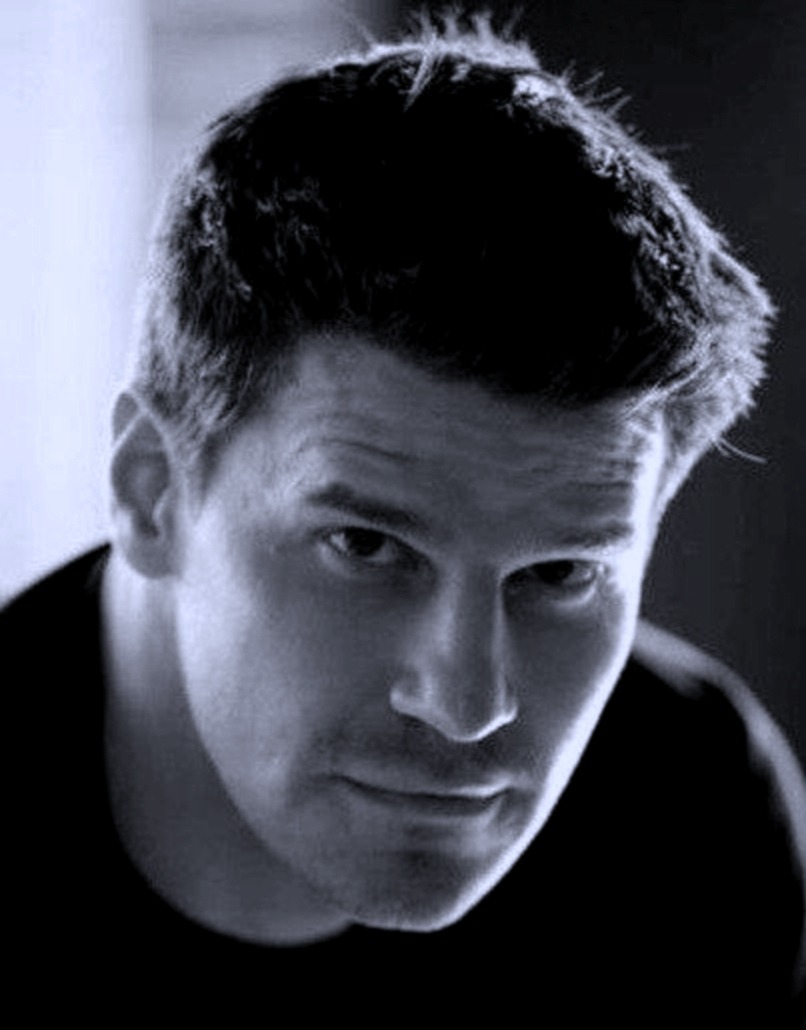 davidboreanazagenteseeleybooth