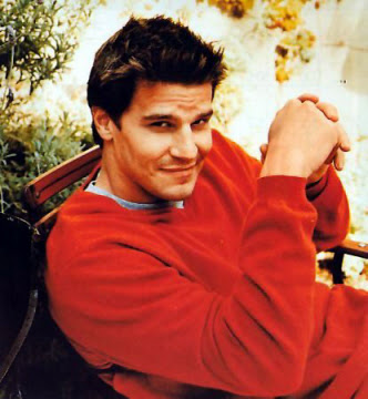 davidboreanazagenteseeleybooth
