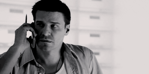 davidboreanazagenteseeleybooth