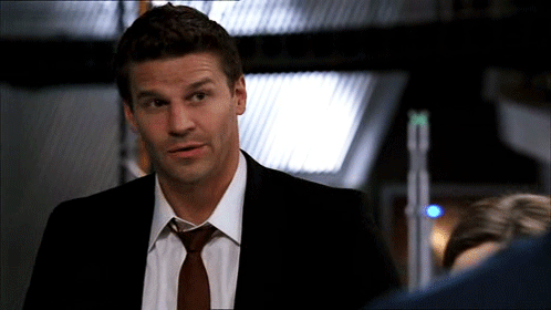 davidboreanazagenteseeleybooth