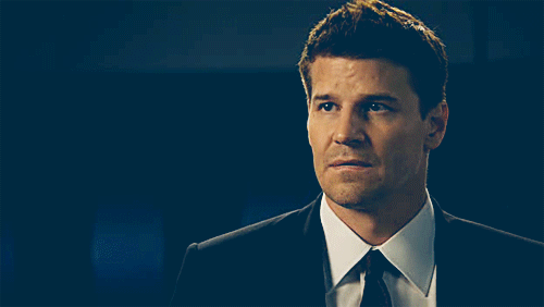 davidboreanazagenteseeleybooth