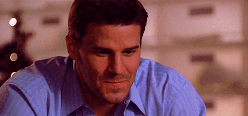 davidboreanazagenteseeleybooth