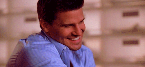 davidboreanazagenteseeleybooth