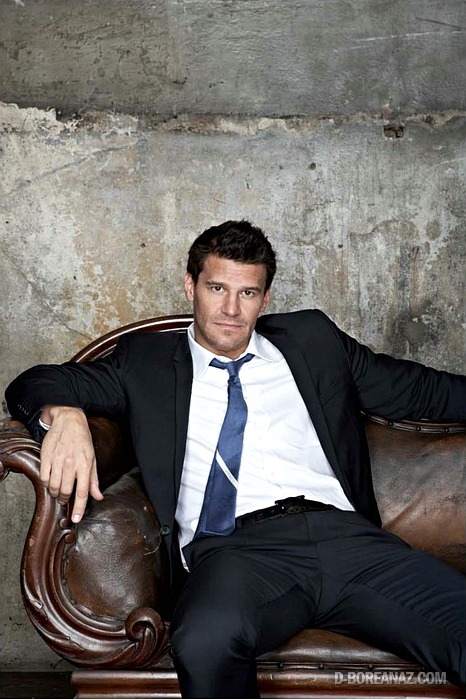 davidboreanazagenteseeleybooth