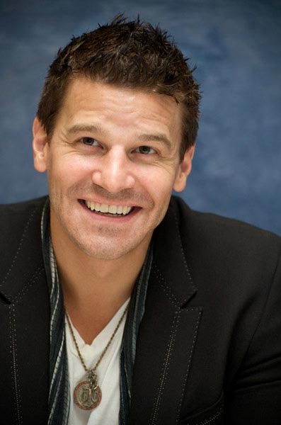 davidboreanazagenteseeleybooth