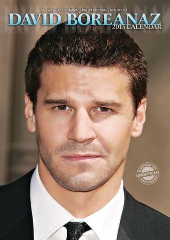 davidboreanazagenteseeleybooth