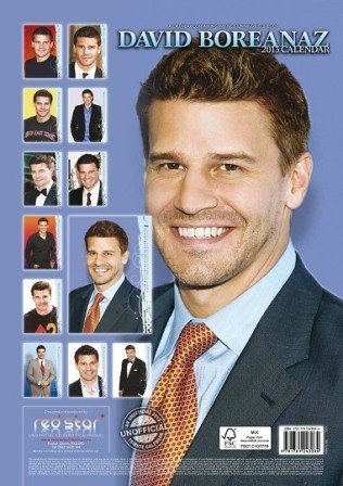 davidboreanazagenteseeleybooth