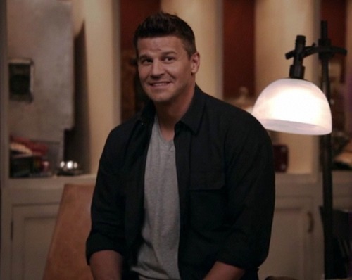 davidboreanazagenteseeleybooth