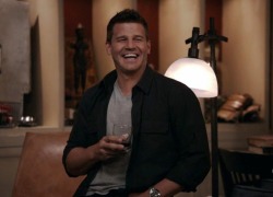davidboreanazagenteseeleybooth