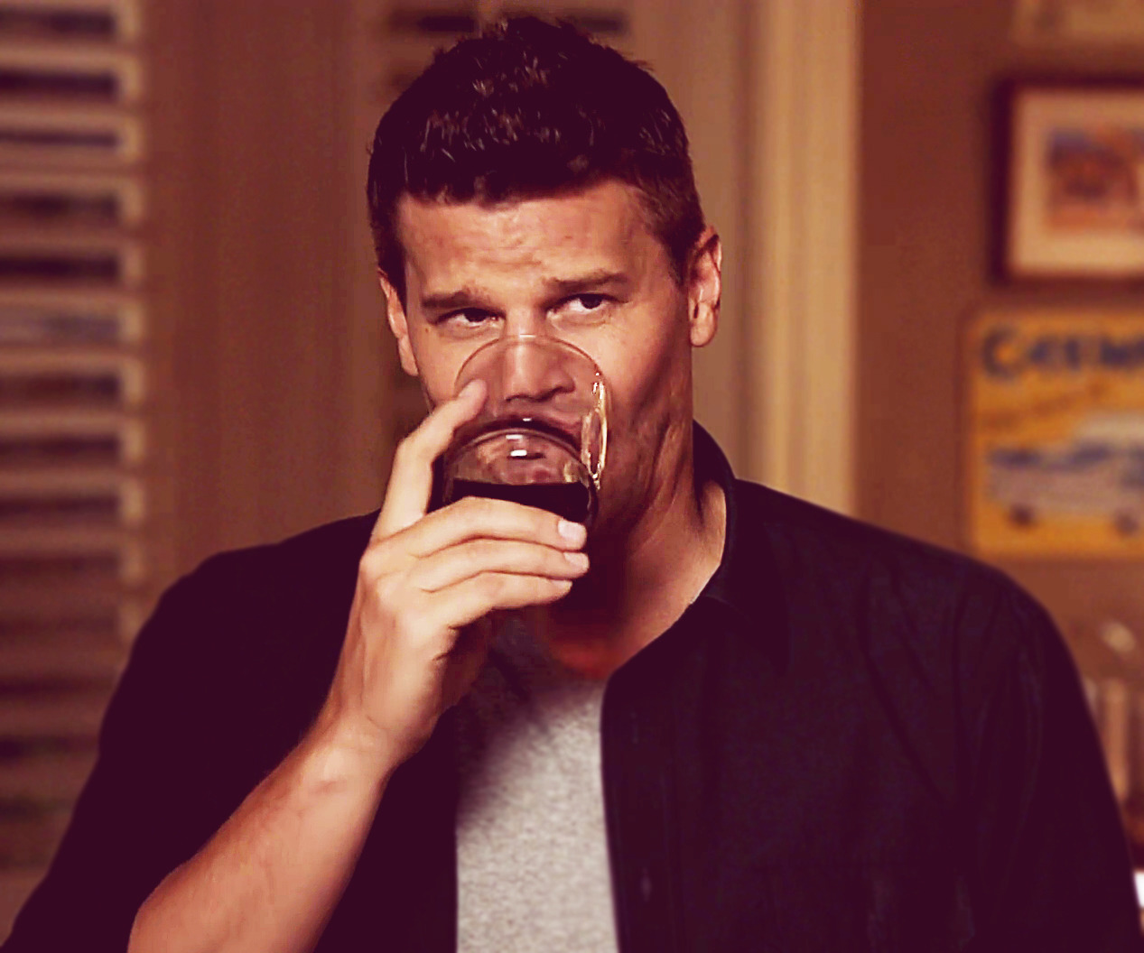 davidboreanazagenteseeleybooth