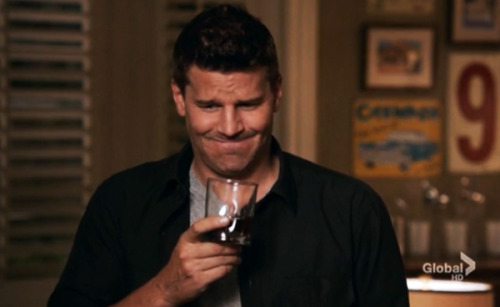 davidboreanazagenteseeleybooth