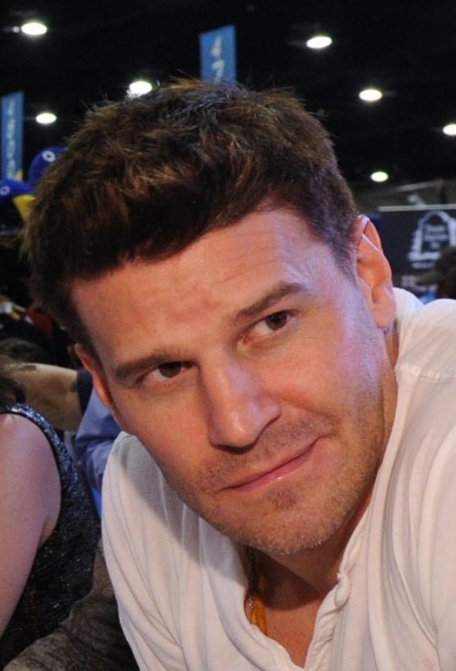 davidboreanazagenteseeleybooth