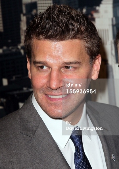davidboreanazagenteseeleybooth