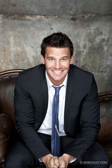 davidboreanazagenteseeleybooth
