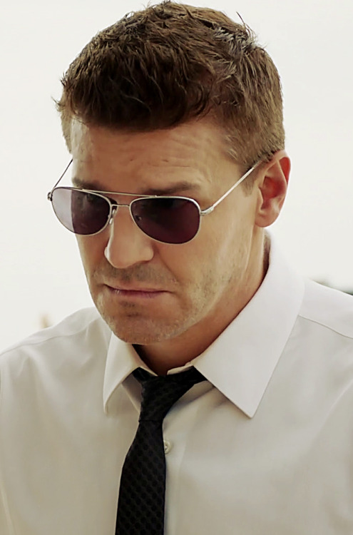 davidboreanazagenteseeleybooth