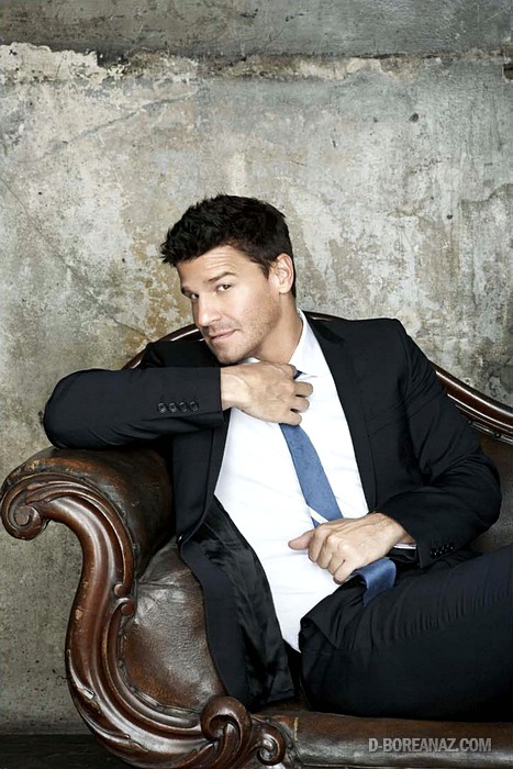 davidboreanazagenteseeleybooth