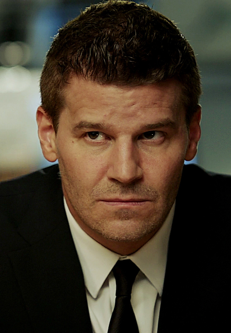 davidboreanazagenteseeleybooth