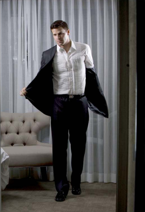 davidboreanazagenteseeleybooth