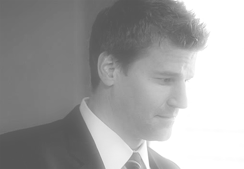 davidboreanazagenteseeleybooth