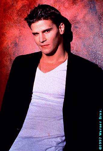 davidboreanazagenteseeleybooth
