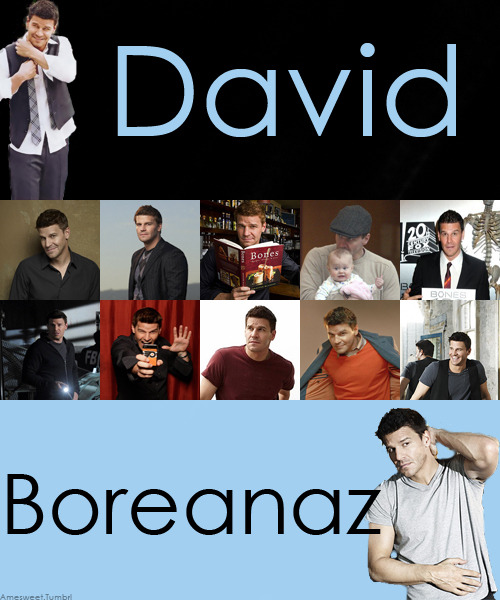 davidboreanazagenteseeleybooth