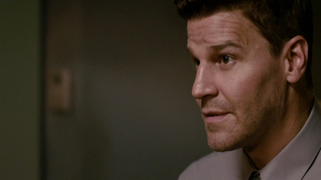 davidboreanazagenteseeleybooth