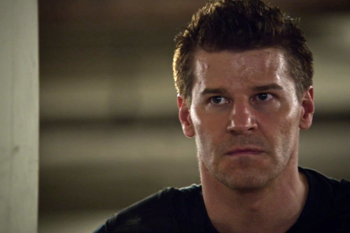 davidboreanazagenteseeleybooth