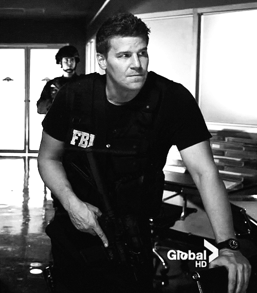 davidboreanazagenteseeleybooth