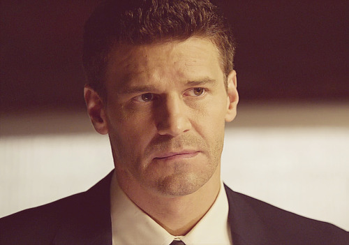 davidboreanazagenteseeleybooth