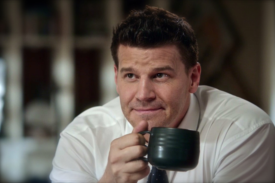 davidboreanazagenteseeleybooth