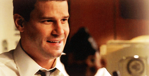 davidboreanazagenteseeleybooth