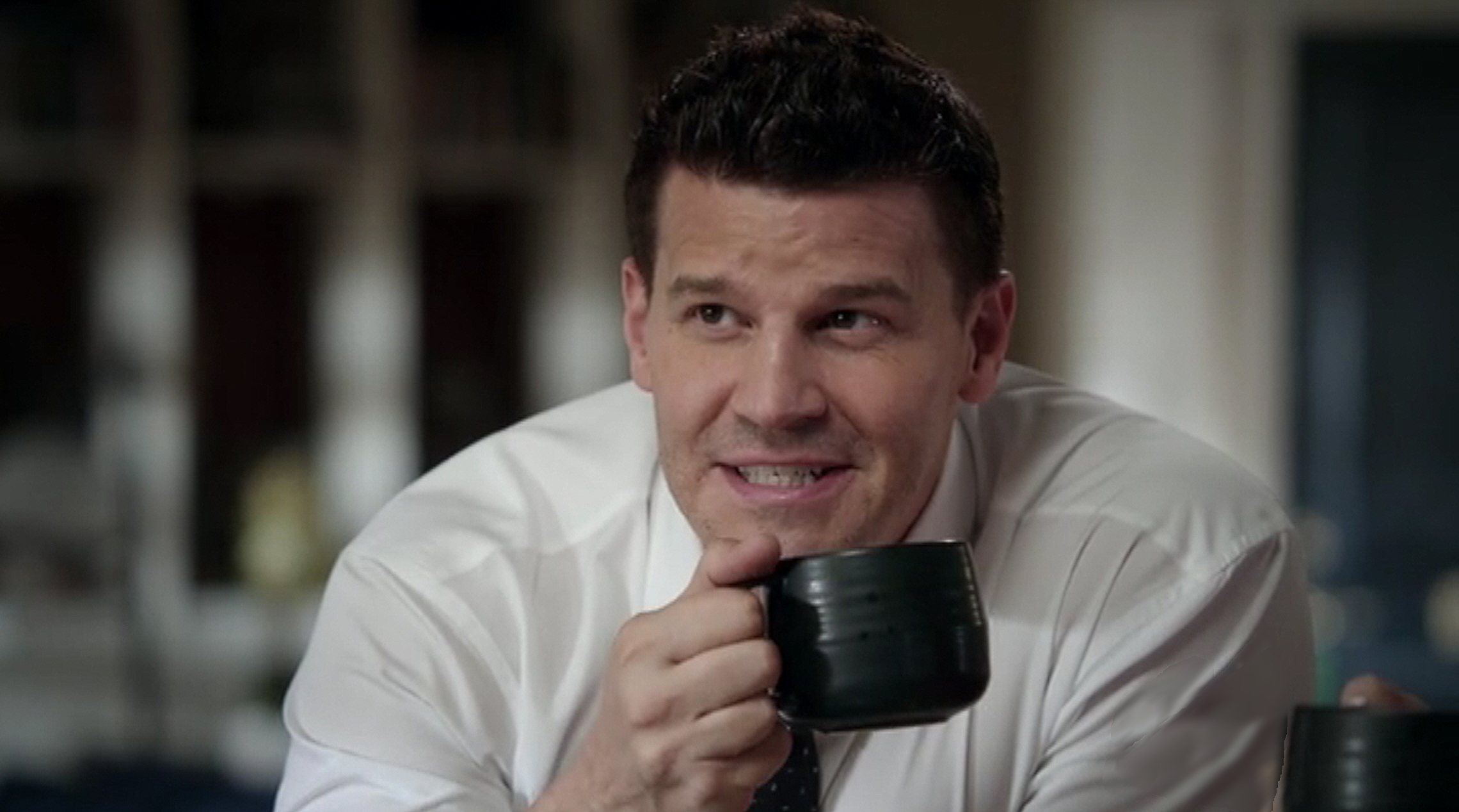 davidboreanazagenteseeleybooth