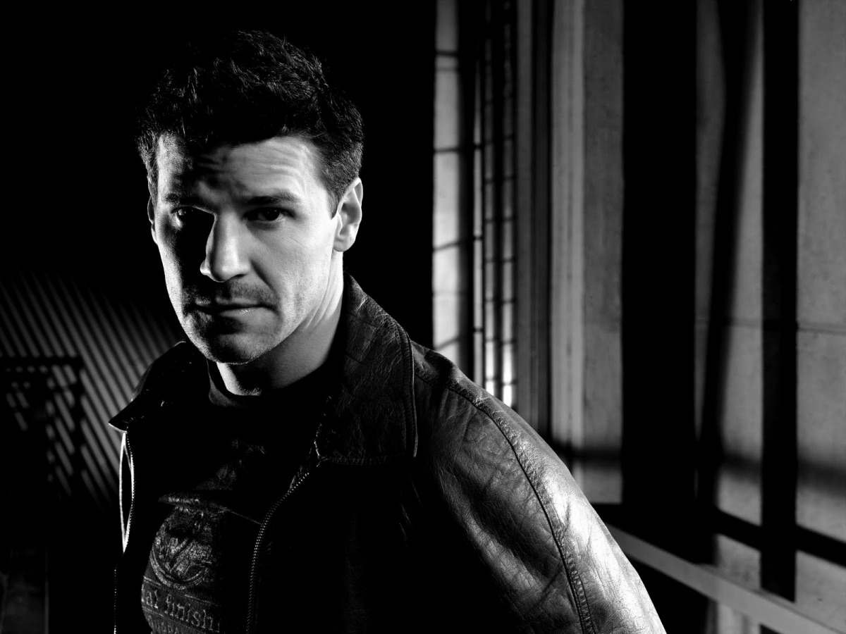 davidboreanazagenteseeleybooth