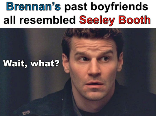 davidboreanazagenteseeleybooth