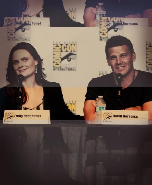 davidboreanazagenteseeleybooth